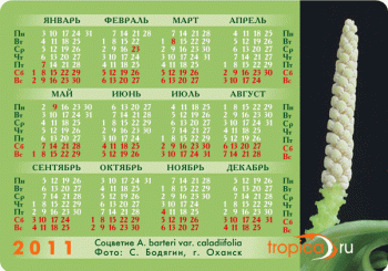 Kalendar_1.2.gif