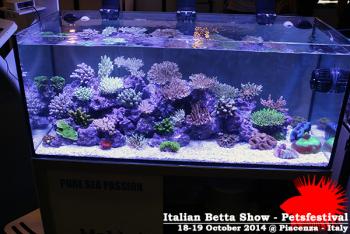 AIBshowPiacenzaOct2014-57.jpg