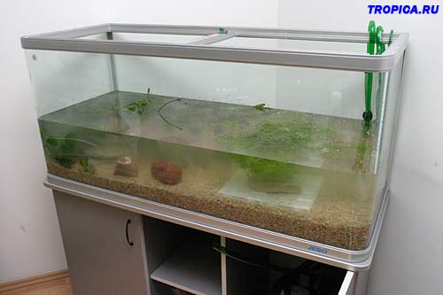 Полузалитый аквариум