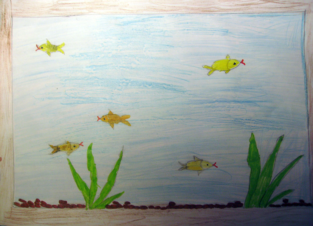 Папин аквариум (Лейсан, 8 лет)