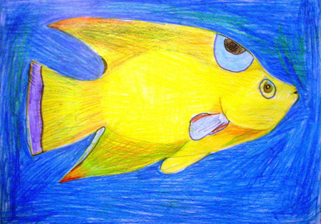 Любимая рыбка (Давликамов Амир, 11 лет)