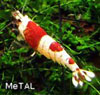 Metal