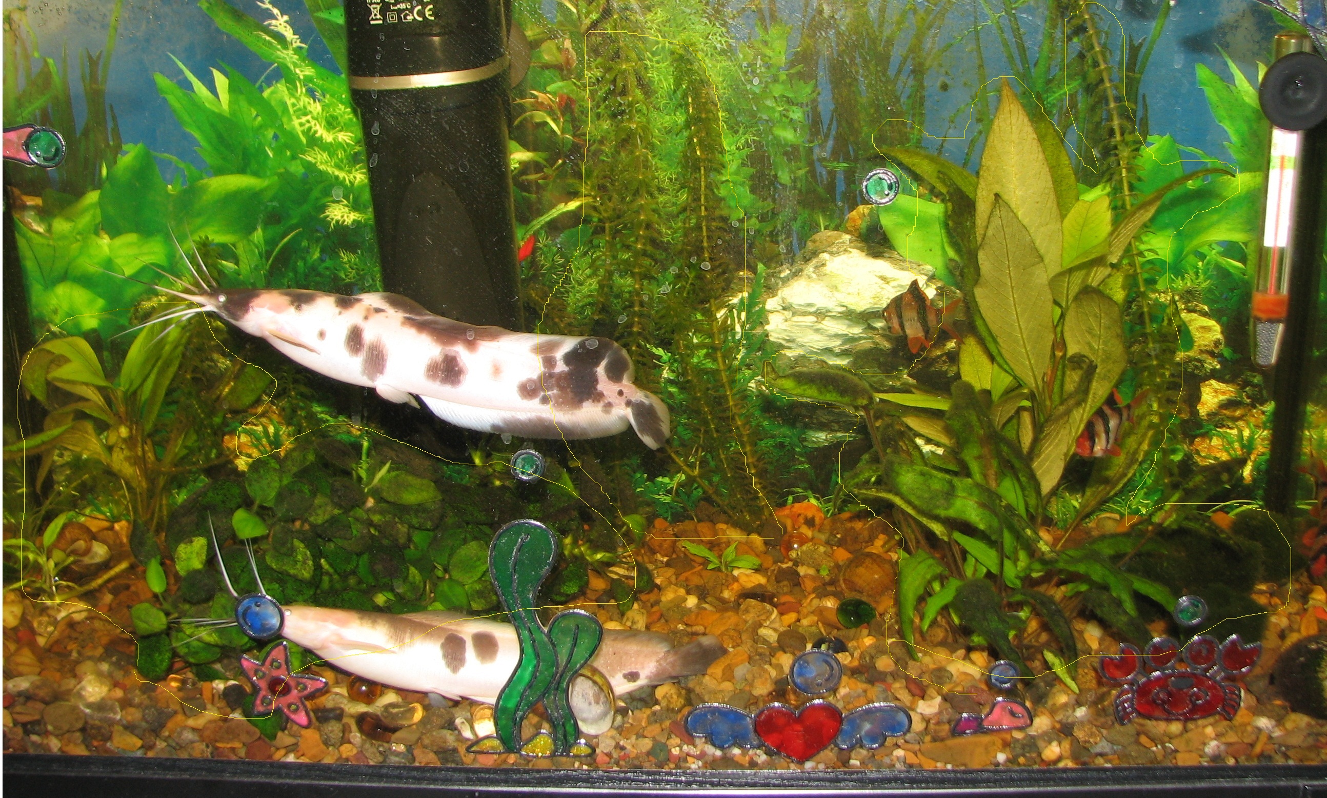  tropica ru