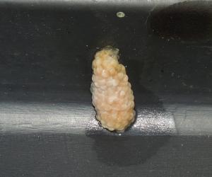 post-10871-1346231129_thumb.jpg