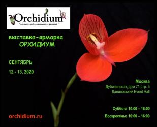 orchidium-2020.jpg