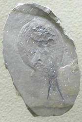 post-28-1202254301_thumb.jpg