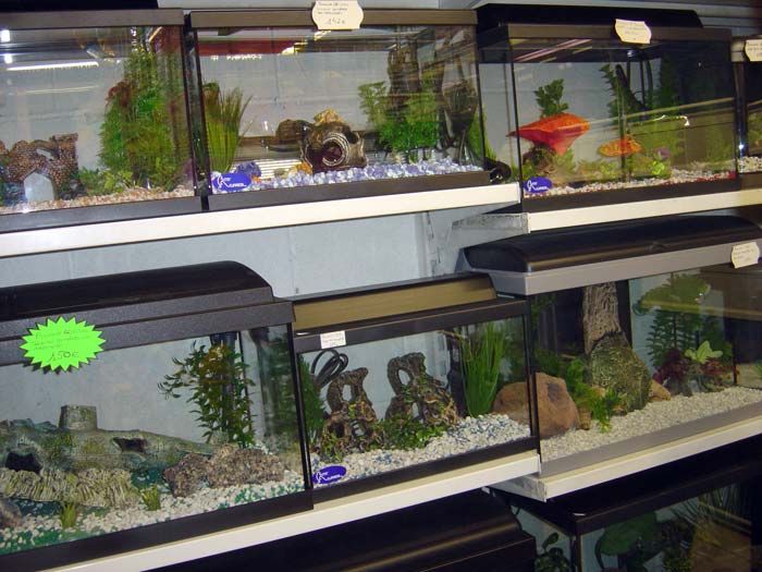 Таррагона: продающиеся аквариумы с декоративным оформлением
