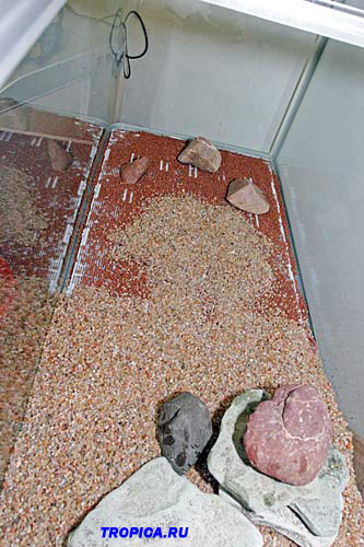 Засыпка второго слоя грунта в аквариум