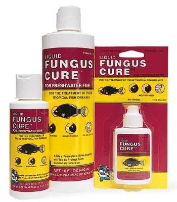 FUNGUS CURE™