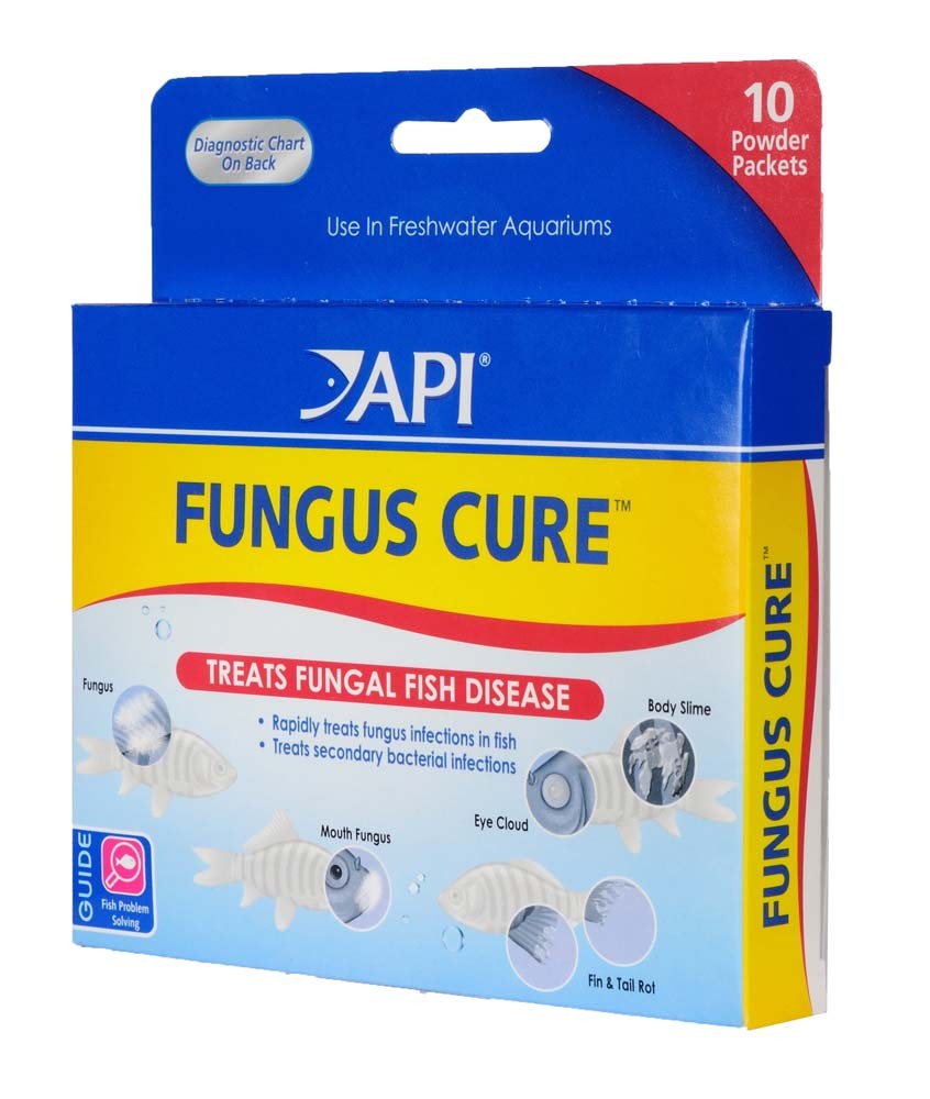 Fungus Cure Fungus Cure