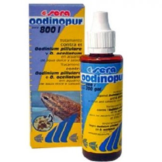 Sera oodinopur Sera oodinopur