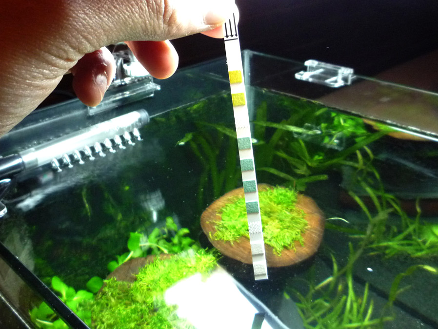 Тестирование параметров воды в аквариуме