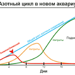 Азотный цикл в новом аквариуме