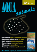 Aqua Animals 2005-2