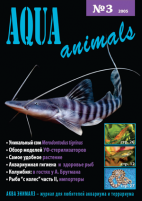 Aqua Animals 2005-3