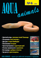 Aqua Animals 2005-4
