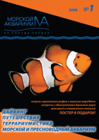 Морской аквариум 2006-1